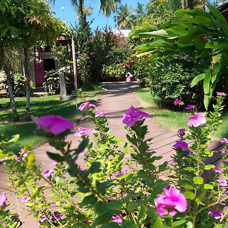 Hotel Casa Robinson Las Terrenas Bagian luar foto