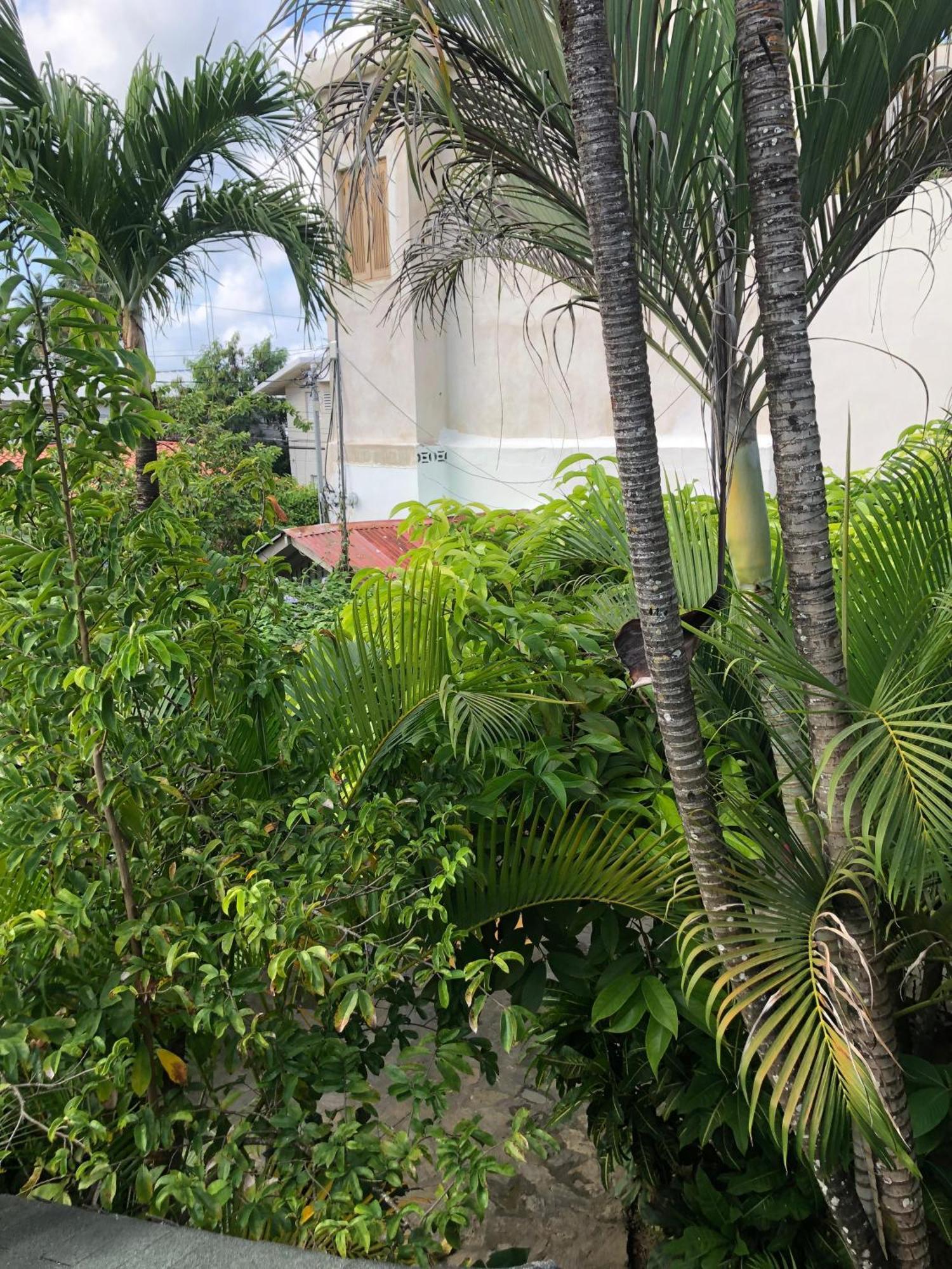 Hotel Casa Robinson Las Terrenas Bagian luar foto