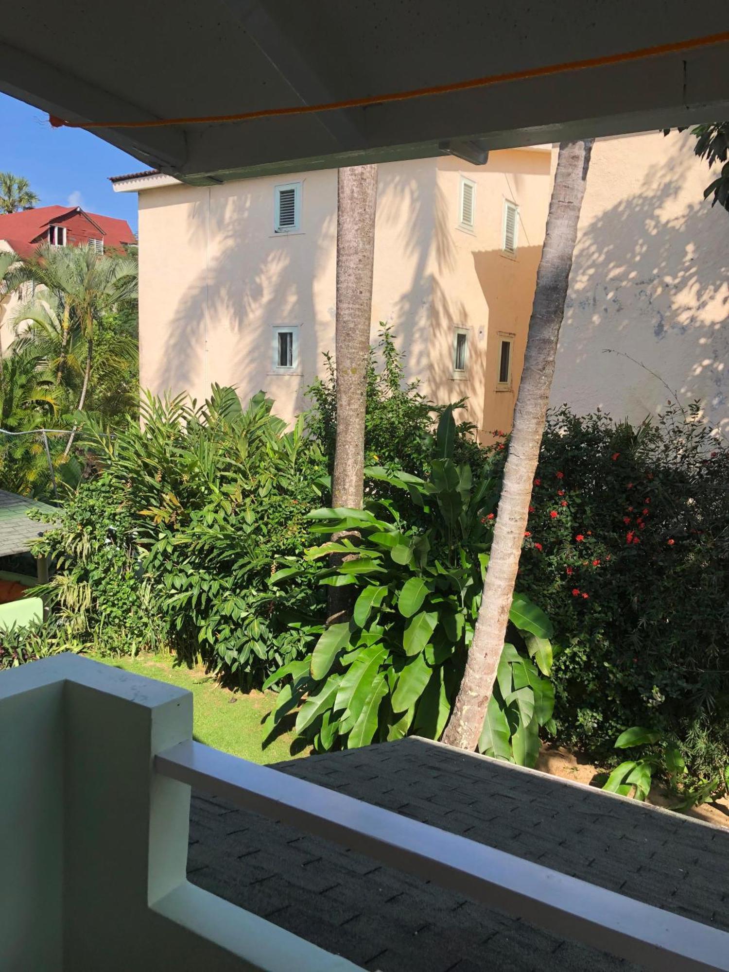 Hotel Casa Robinson Las Terrenas Bagian luar foto